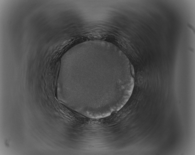 X0000100501297200807031930