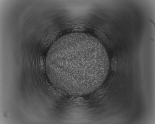 X0000100501298200807031930