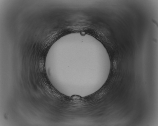 X0000100501300200807031930