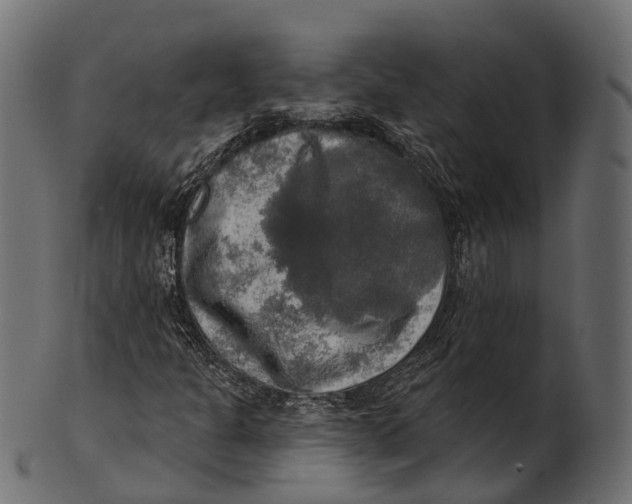 X0000100501301200807031930