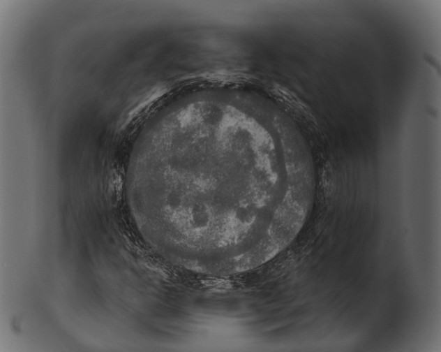 X0000100501302200807031930