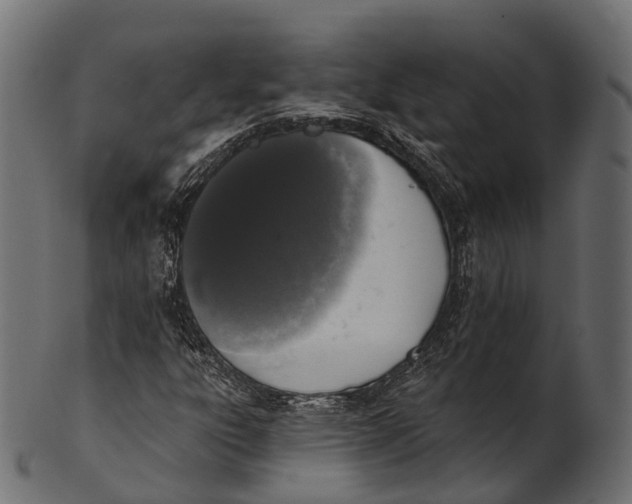 X0000100501303200807031930