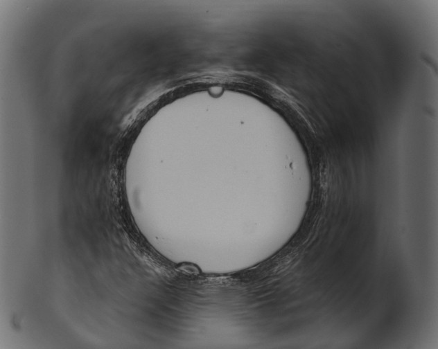 X0000100501304200807031930