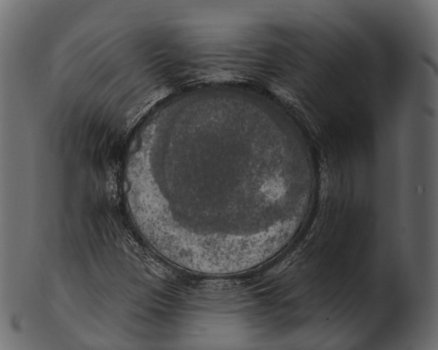 X0000100501305200807031930