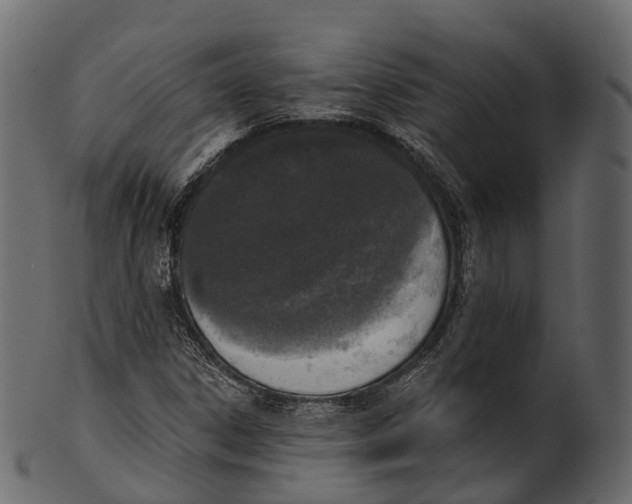 X0000100501306200807031930