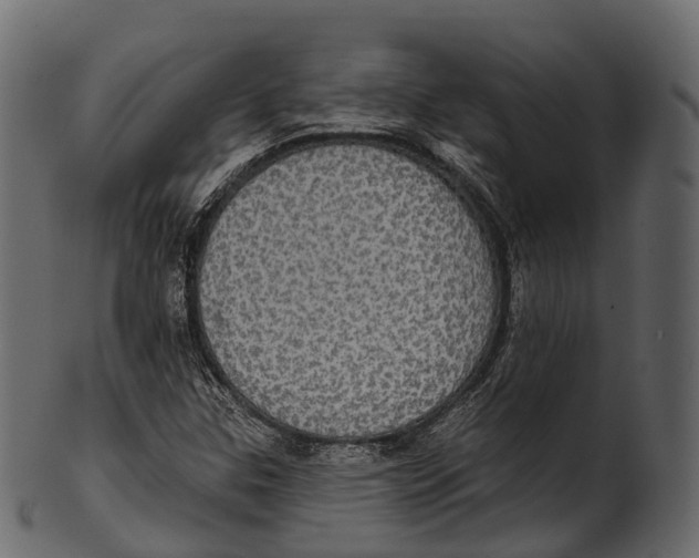 X0000100501307200807031930