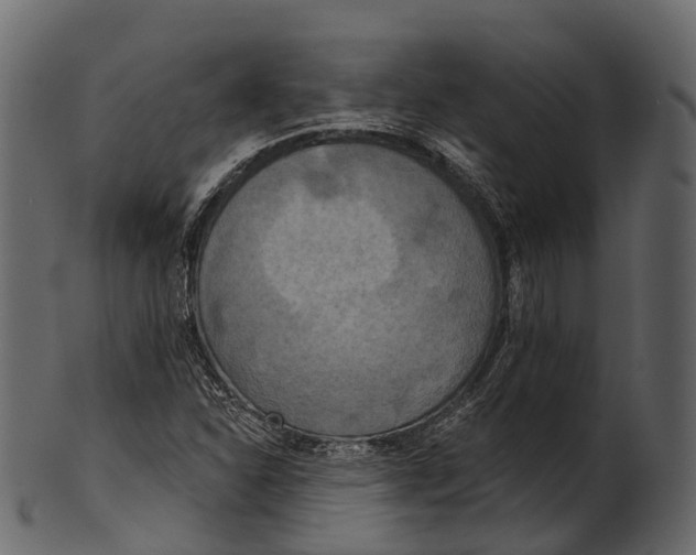 X0000100501310200807031930