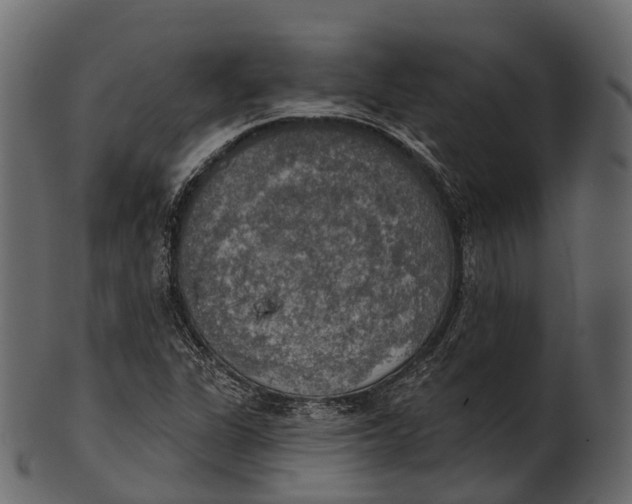 X0000100501311200807031930