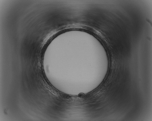 X0000100501312200807031930