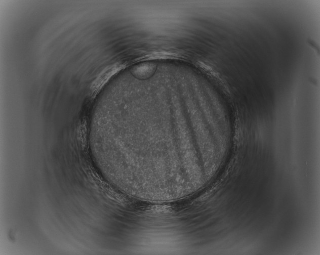 X0000100501313200807031930