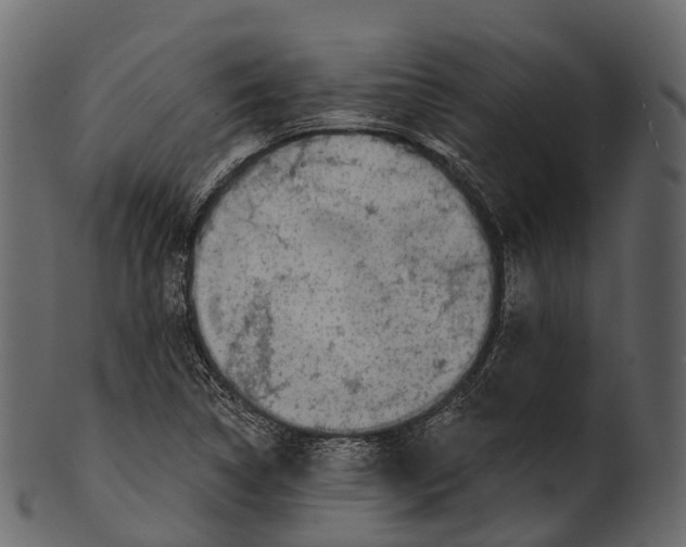 X0000100501314200807031931