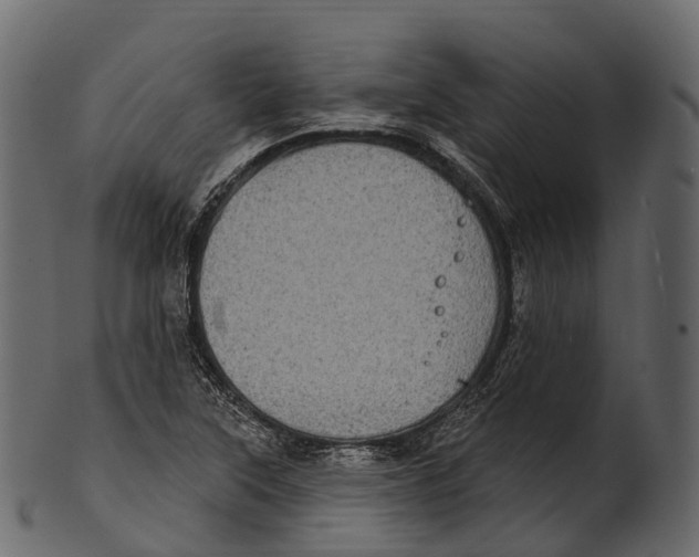 X0000100501315200807031931