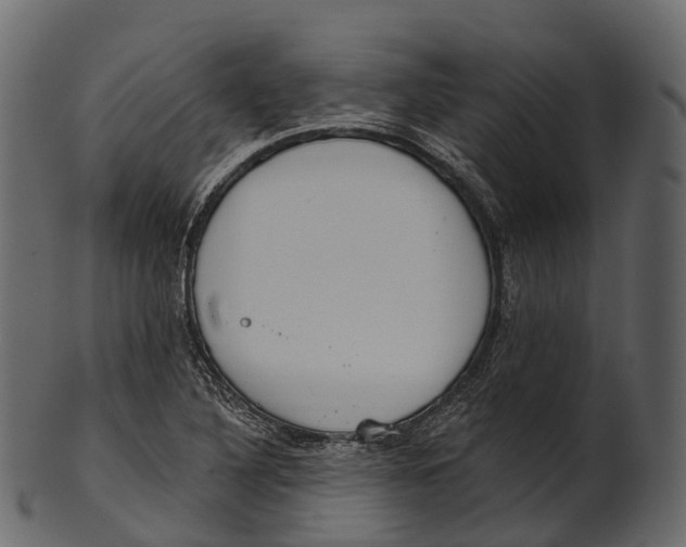 X0000100501316200807031931