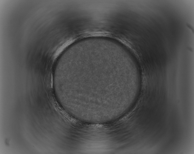 X0000100501317200807031931