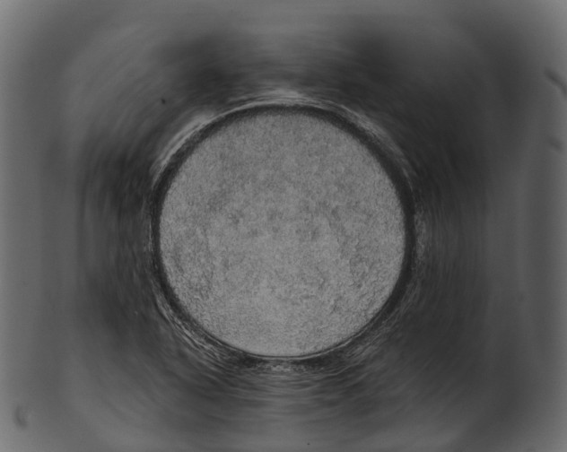 X0000100501318200807031931