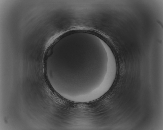 X0000100501319200807031931