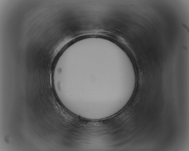 X0000100501320200807031931