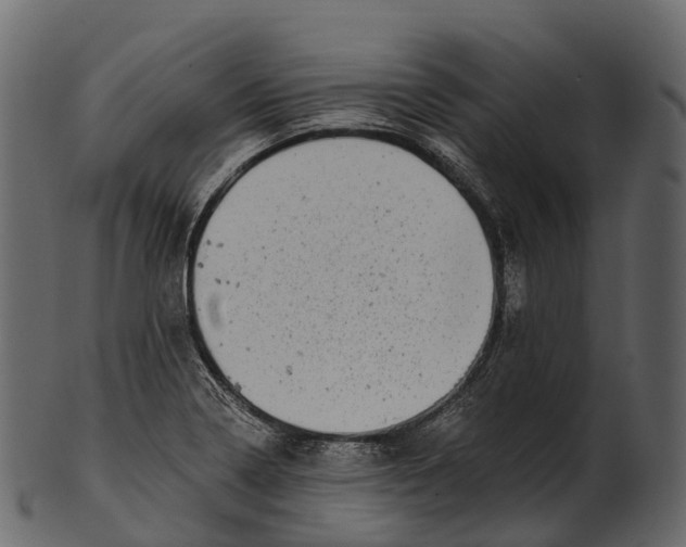 X0000100501322200807031931