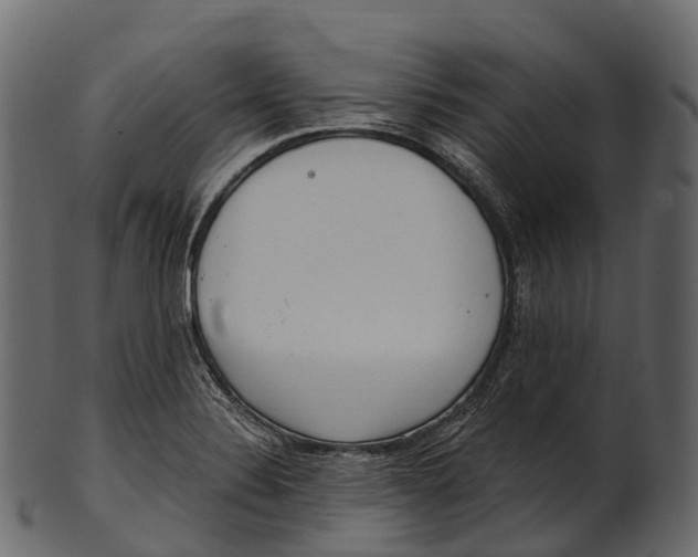 X0000100501324200807031931