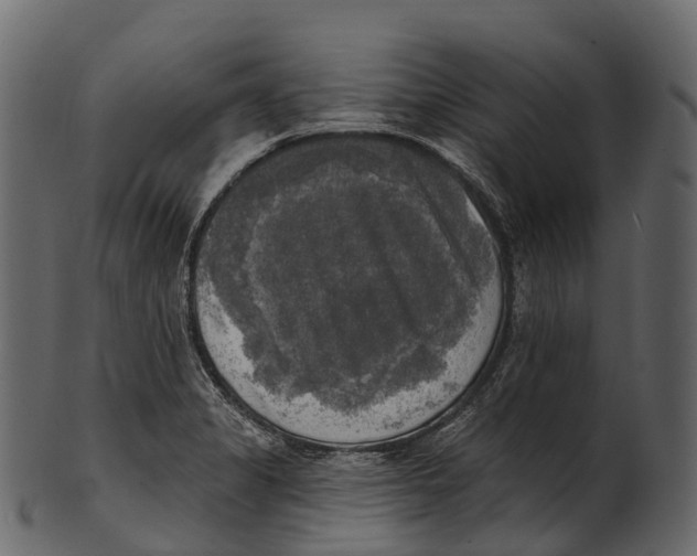 X0000100501325200807031931