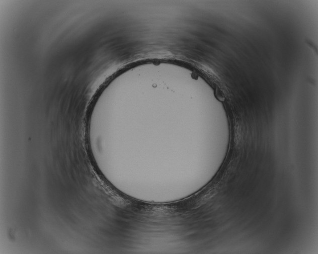 X0000100501326200807031931