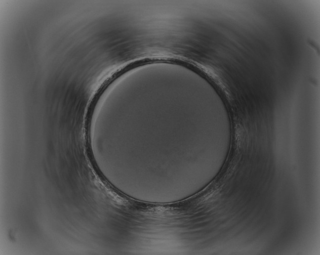 X0000100501327200807031931