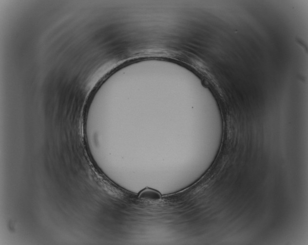 X0000100501328200807031931