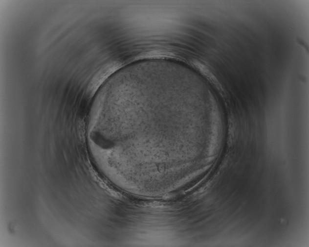 X0000100501329200807031931