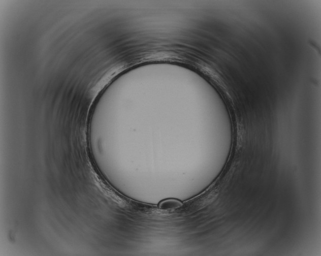 X0000100501330200807031931