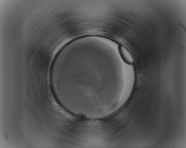 X0000100501331200807031931