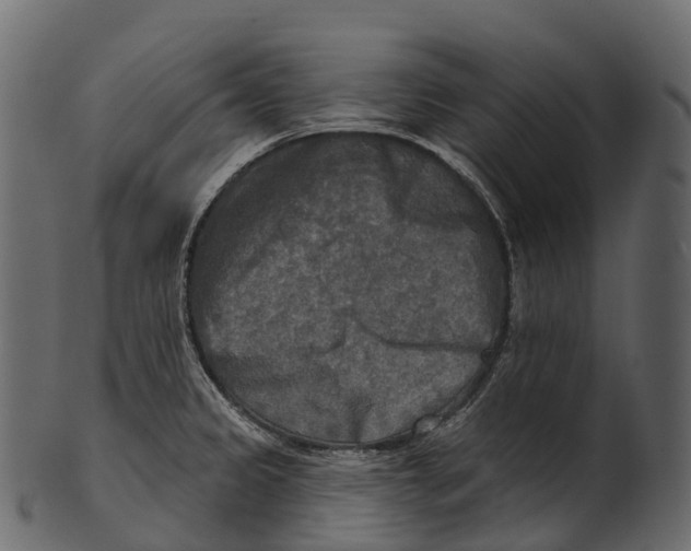 X0000100501333200807031931