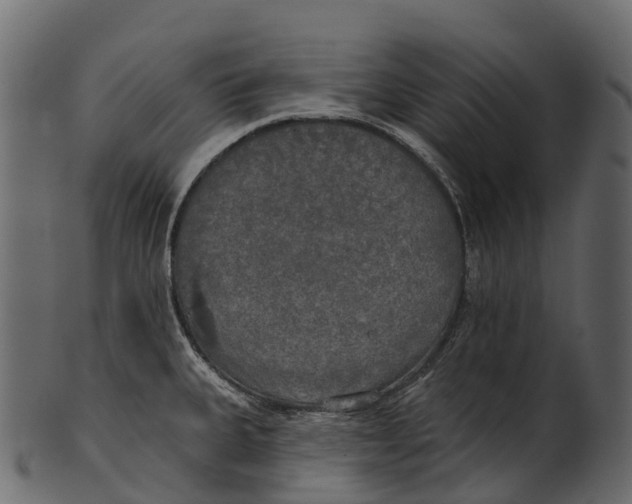 X0000100501335200807031931