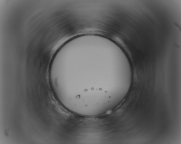 X0000100501336200807031931