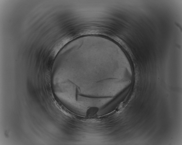 X0000100501337200807031931