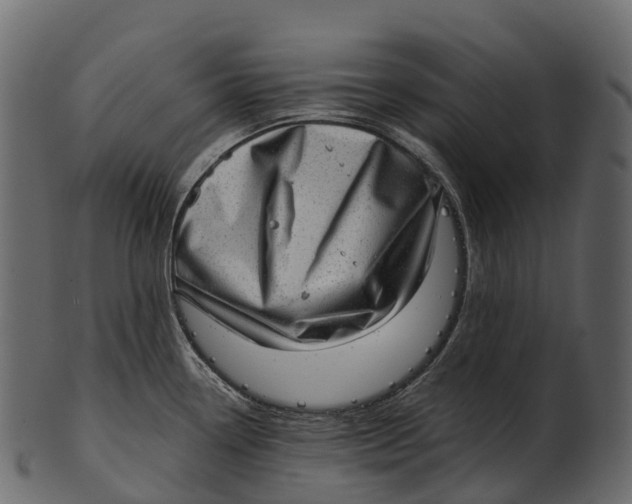 X0000100501338200807031931