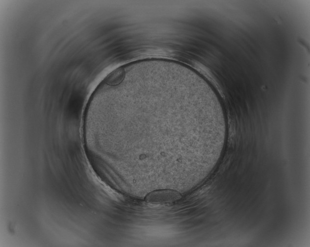 X0000100501339200807031931