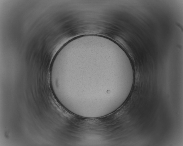 X0000100501340200807031931