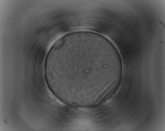 X0000100501341200807031931