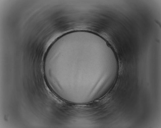 X0000100501342200807031931