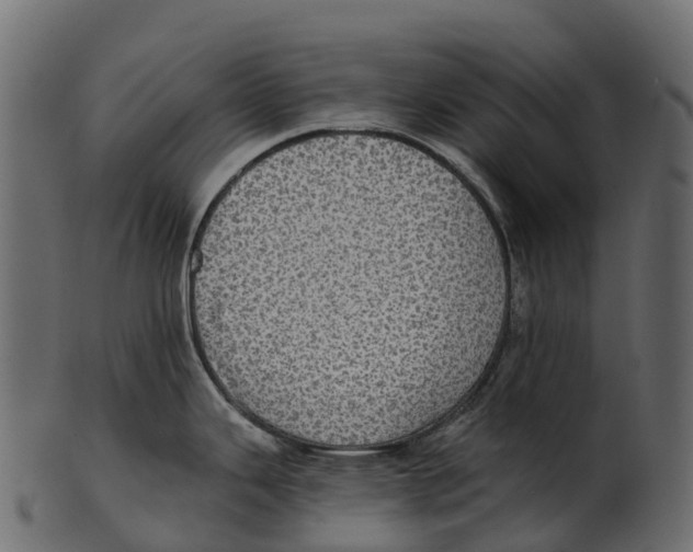 X0000100501343200807031931