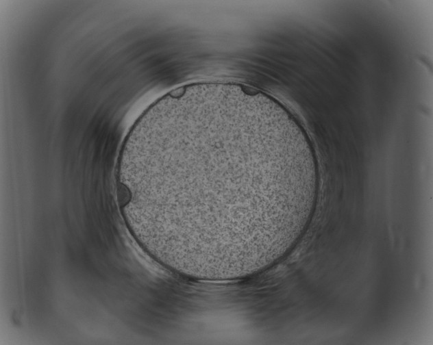 X0000100501344200807031931