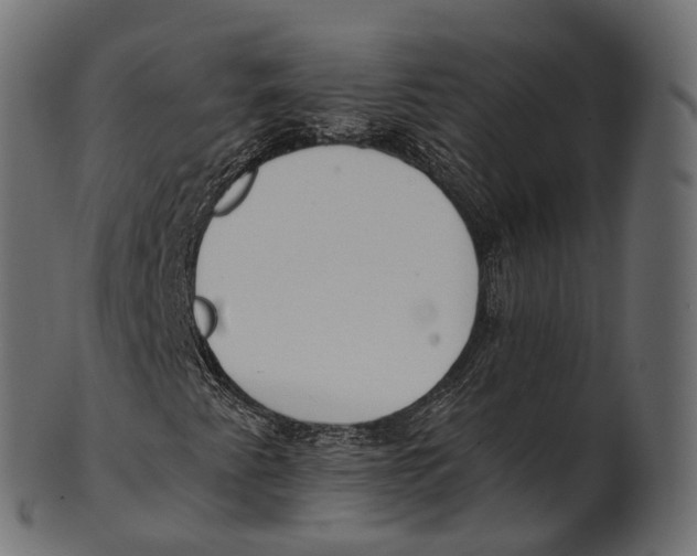 X0000100501345200807031930