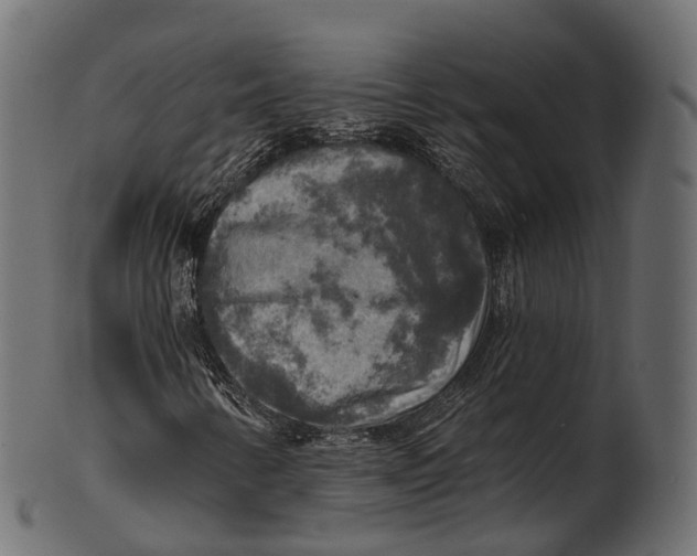 X0000100501346200807031930