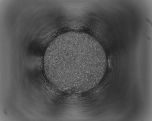 X0000100501347200807031930