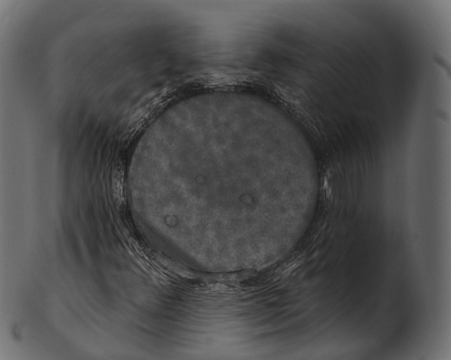 X0000100501348200807031930