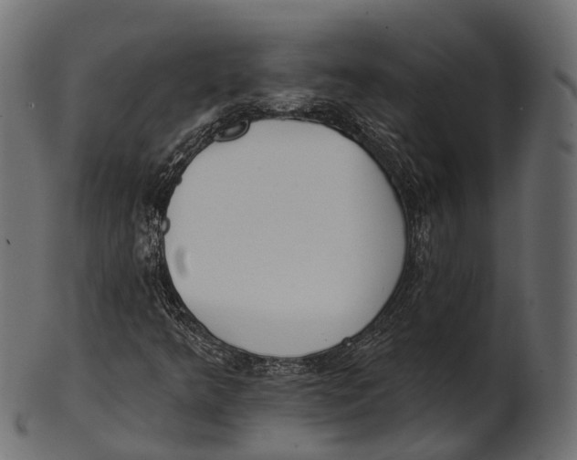 X0000100501349200807031930