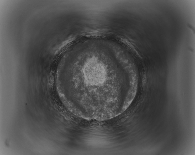 X0000100501350200807031930