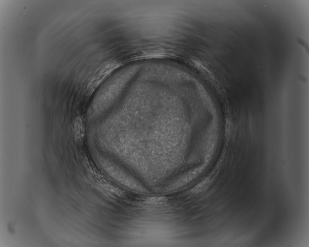 X0000100501353200807031930