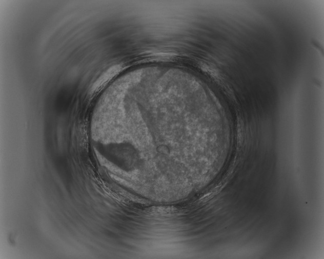 X0000100501354200807031930