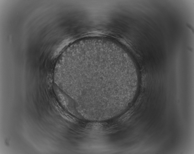 X0000100501355200807031930